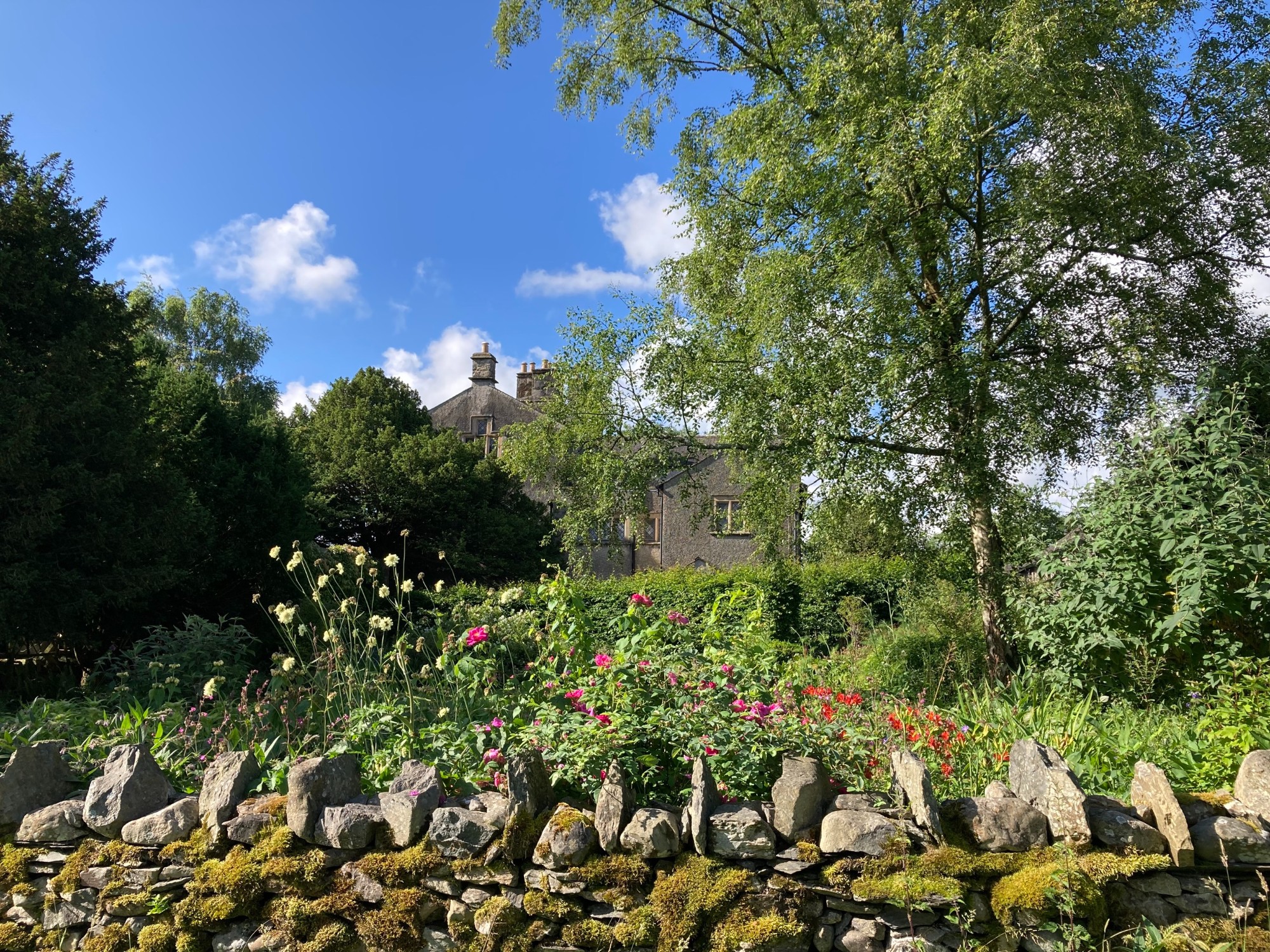 Terms and conditions